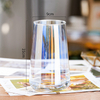 Modern Simple Transparent Glass Advanced Sense Vase Household Hydroponic Living Room Tabletop Vase