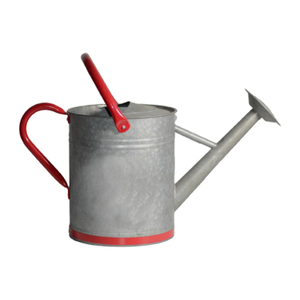 2 Gallon Galvanized Watering Can for Outdoor Indoor Plants