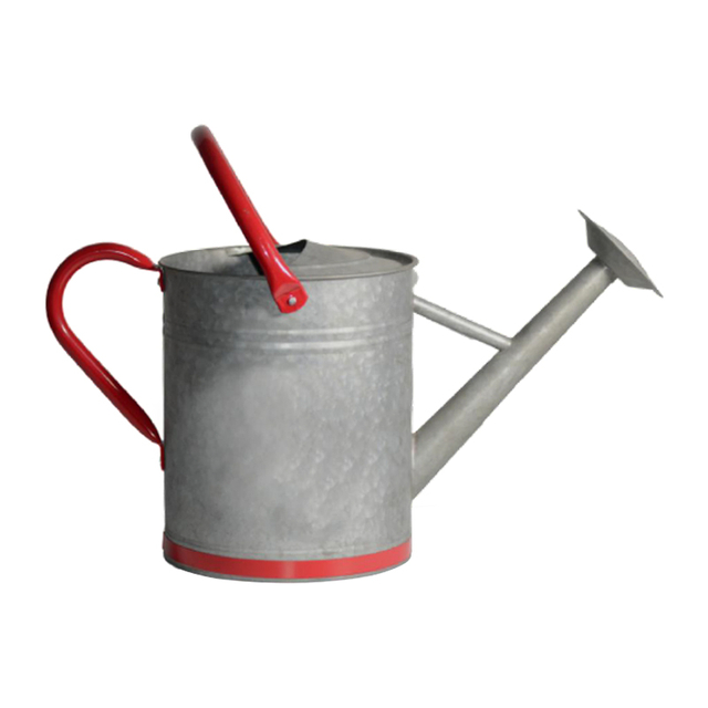 2 Gallon Galvanized Watering Can for Outdoor Indoor Plants