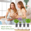 8 Pcs Hydroponic Herb Planter Growing Kit