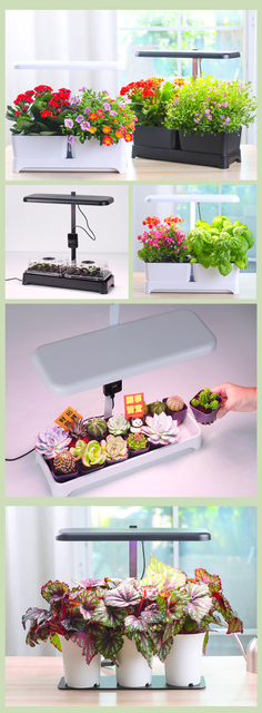 White LED Full Spectrum Growing Lamp Plant Grow Light for Indoor Plants, Succulents, Mini Bonsai, Small Plants