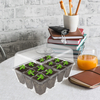 10 Pack Plant Germination Trays Seed Starter Kit