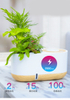 Smart Bluetooth Speaker and Lazy Self-watering Flower Pot