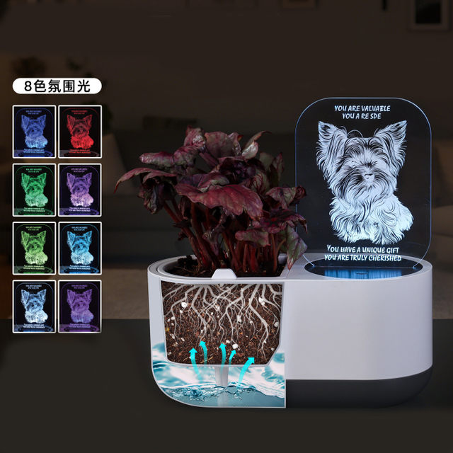 Indoor Herb Garden with Household LED Night Light Hydroponics Growing System Kit