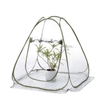 Pop Up Greenhouse GT24010