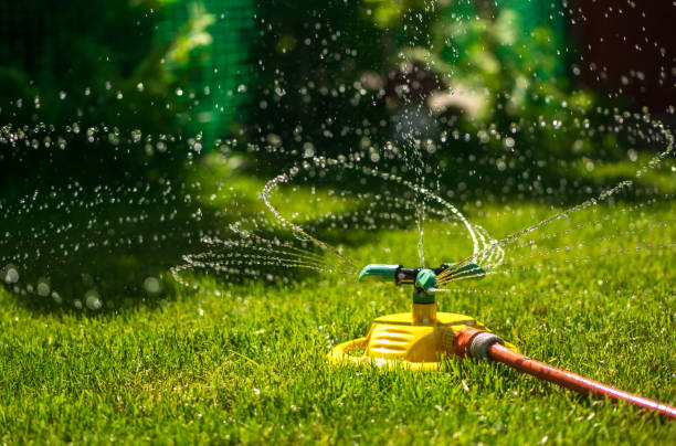 istockphoto-955415878-612x612