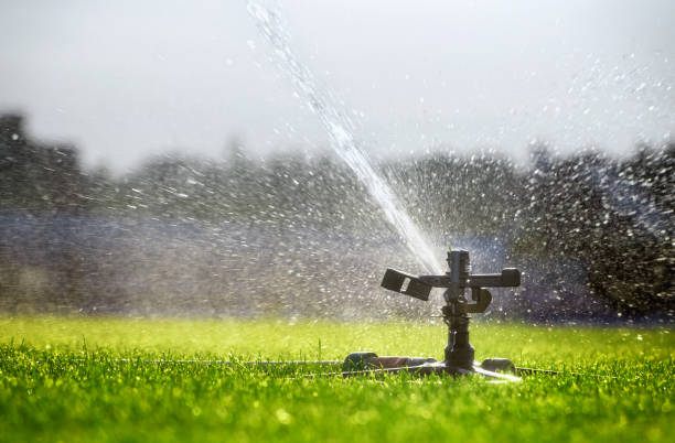istockphoto-1406911068-612x612