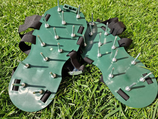 istockphoto-2147503962-612x612
