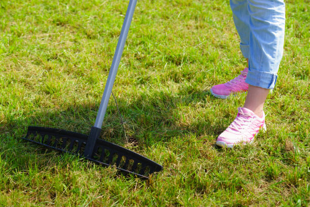 istockphoto-1030315472-612x612