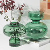 Creative Vases Nordic Style clear Glass Vase Hydroponic Flowers