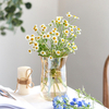Short and Plump Glass Container and Transparent Body Vases