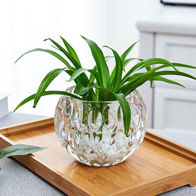 Bowl Glass Vase Clear Bubble Planter Terrarium Fish Bowl