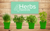 Indoor 4 Herb Seeds Home Growing Garden Plant Starter DIY Kit