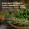 Complete Beginner Friendly 8 Herbs Seeds Grow Starter Gift Kit