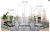 Glass hydroponic plant pot
