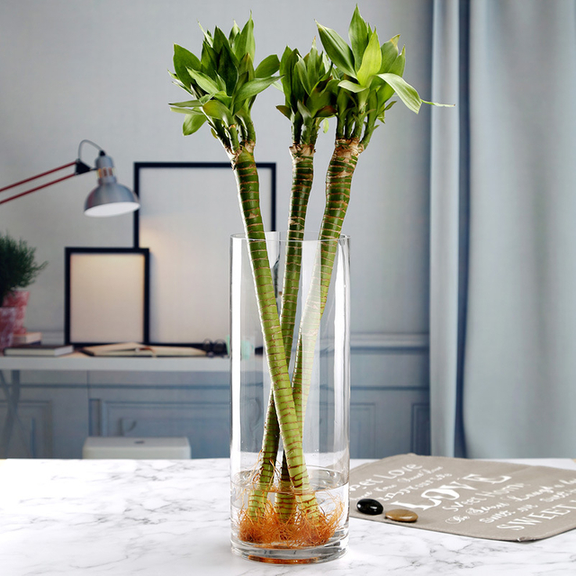 Glass Vase Bulk Cylinder Flower Home Decor Glass Flower Pot Decoration Long Clear Wholesale Wedding Plant Glass Vase for Flowers
