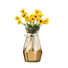 Gradient-colored rhombic glass vase