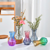Nordic Garlic Head Glass Vase Transparent Tabletop Living Room Decoration Ornaments Ins High Appearance Level Dry Flowers Vase