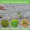 13.4" Stainless Steel Crevice Weeding Tool with Wood Handle