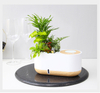 Smart Bluetooth Speaker and Lazy Self-watering Flower Pot