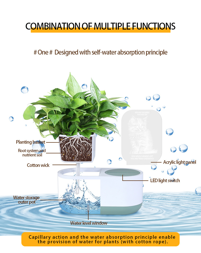 Hydroponics Growing System Kit (4)