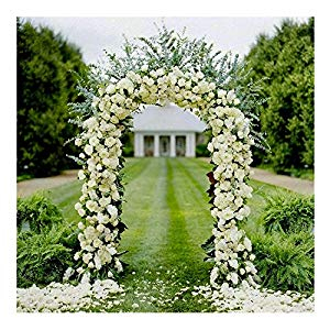 Metal Garden Arch GT25149