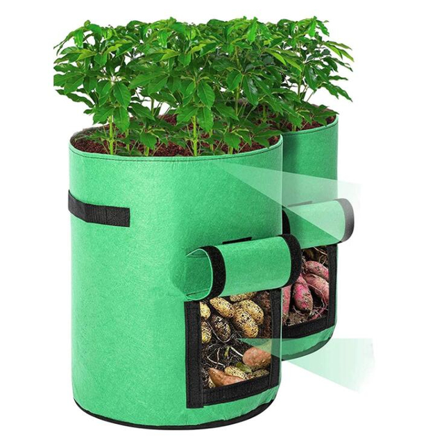 Potato Grow Bags GT15043
