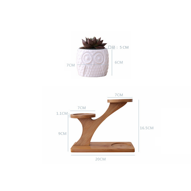 Cute Flower Pots GT14560