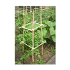 Bamboo Stake GT25058