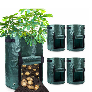 Potato Grow Bags GT15007