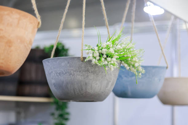 istockphoto-1343461313-612x612
