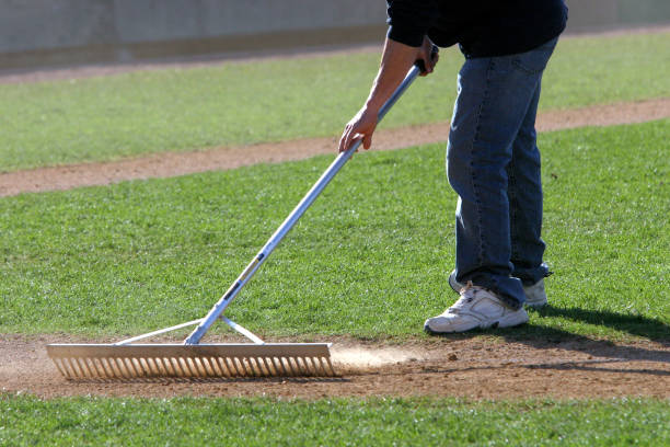 istockphoto-172644643-612x612