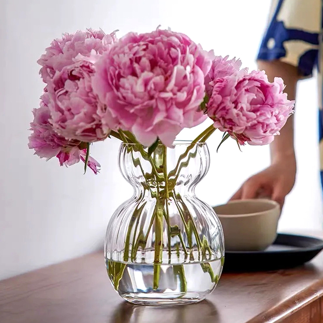 Living Room Flower Arrangement Home Water-grown Flowers Simple Transparent Glass Vase