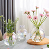 Manufacturer Minimalist Home Tabletop Centerpieces Flower Plant Vase