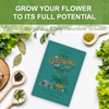 5 Indoor Complete Planting Herb Seeds Garden Starter Grow Kit