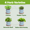 8 Indoor & Outdoor Variety Culinary Deluxe Herb Garden Plant Gift Kit