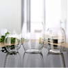 Glass hydroponic plant pot