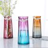 Glass Vase Creative Nordic Colored Glass Vase Transparent Hydroponic Flower Vases Decorated with Green Plants