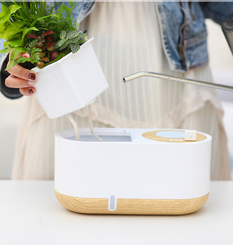 Self-watering Flower Pot (9)