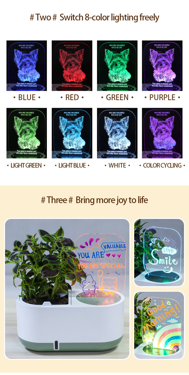 Hydroponics Growing System Kit (6)