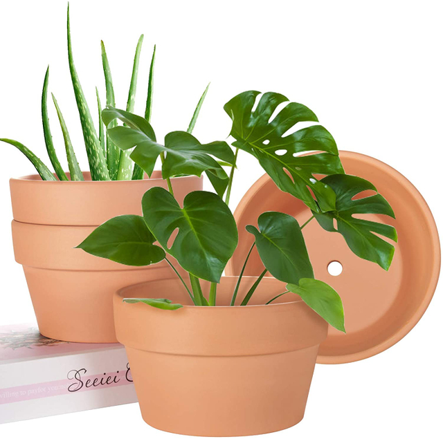 Terracotta Shallow Succulent Pot GT14230