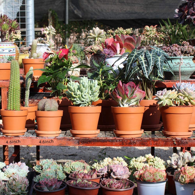 4 Inch Terra Cotta Pots with Saucer GT14037-1A