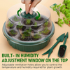 Seed Starter Tray GT23112-1