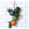 Hanging Succulent Planters GT14215