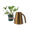 Stainless Steel Metal Watering Can for Plants