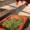 Cylindrical Emitter Drip Irrigation Pipe