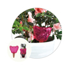 Flower Pot Drip Irrigation Sprinkler