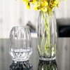 Nordic Minimalist Smoke Grey Transparent Glass Vase