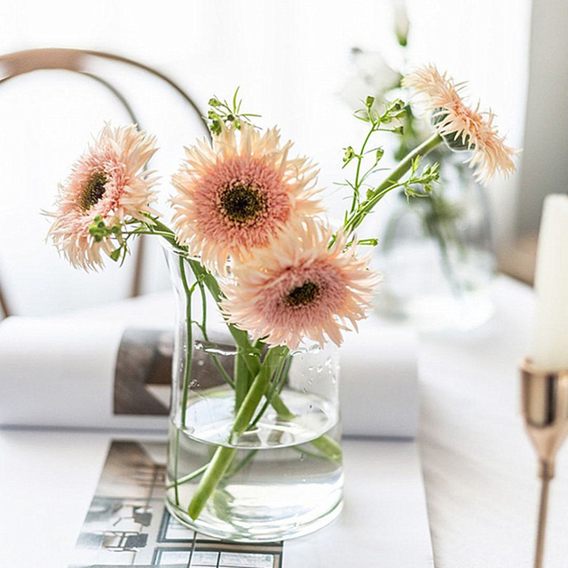 Short and Plump Glass Container and Transparent Body Vases