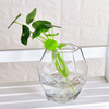 Clear Glass Flower Vases for Centerpiece Table Home